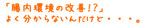 腸内環境の改善??